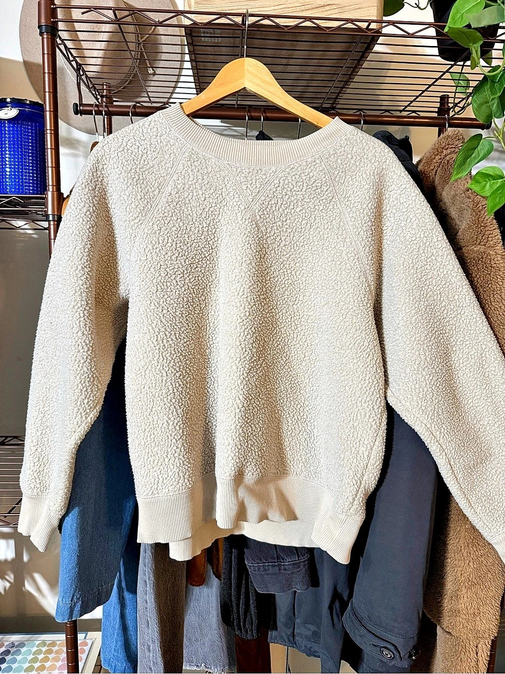 Everlane The ReNew Fleece Raglan Sweatshirt Cream